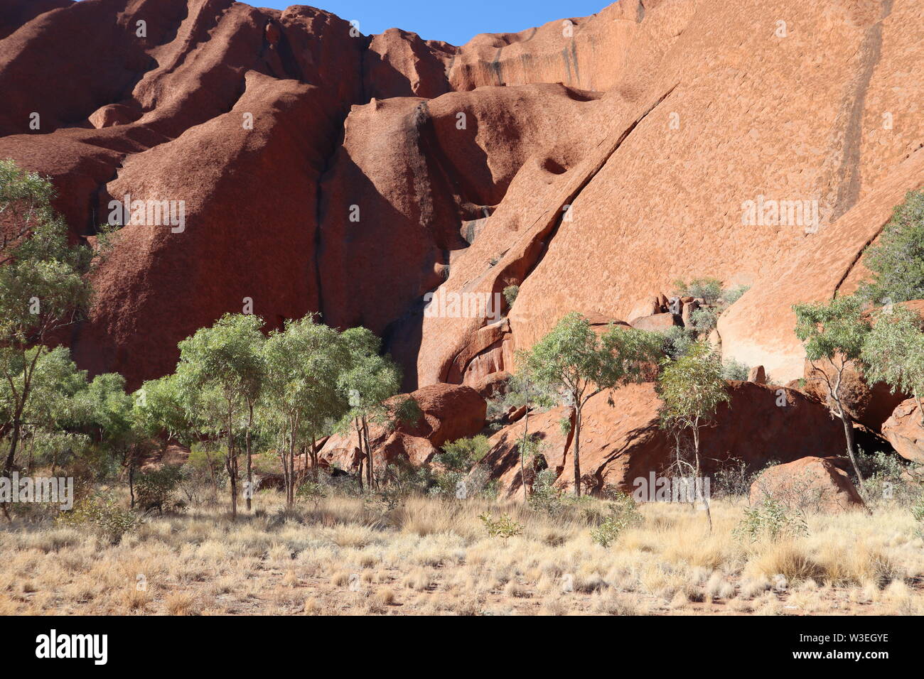 Mid morning Uluru Base Walk, bush tucker spotting, waterway and waterholes on the towering rock surface. Stock Photo