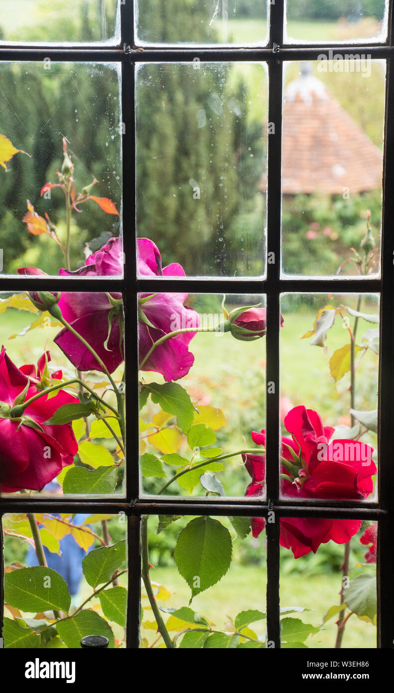 Tudor window hi-res stock photography and images - Alamy