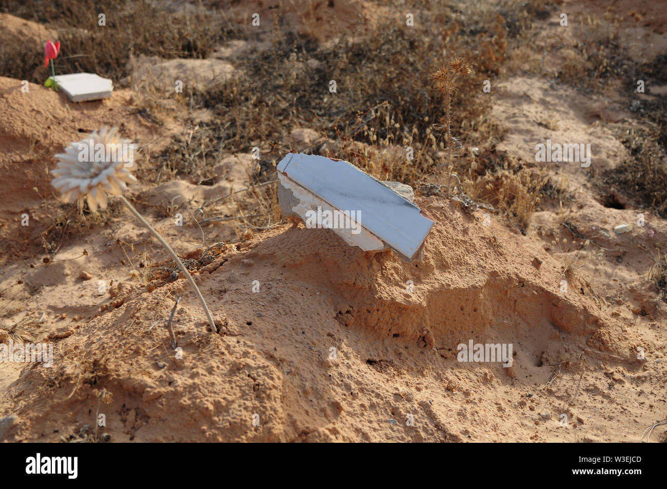 Zarzis, Tunisia. 14th July, 2019. A flower stands on a grave at the "Cemetery of the Unknown". On the beaches of the southern Tunisian town of Zarzis, near the holiday island of Djerba, the bodies of drowned migrants are washed up again and again. (to dpa: The Bay of the Nameless Dead) Credit: Simon Kremer/dpa/Alamy Live News Stock Photo