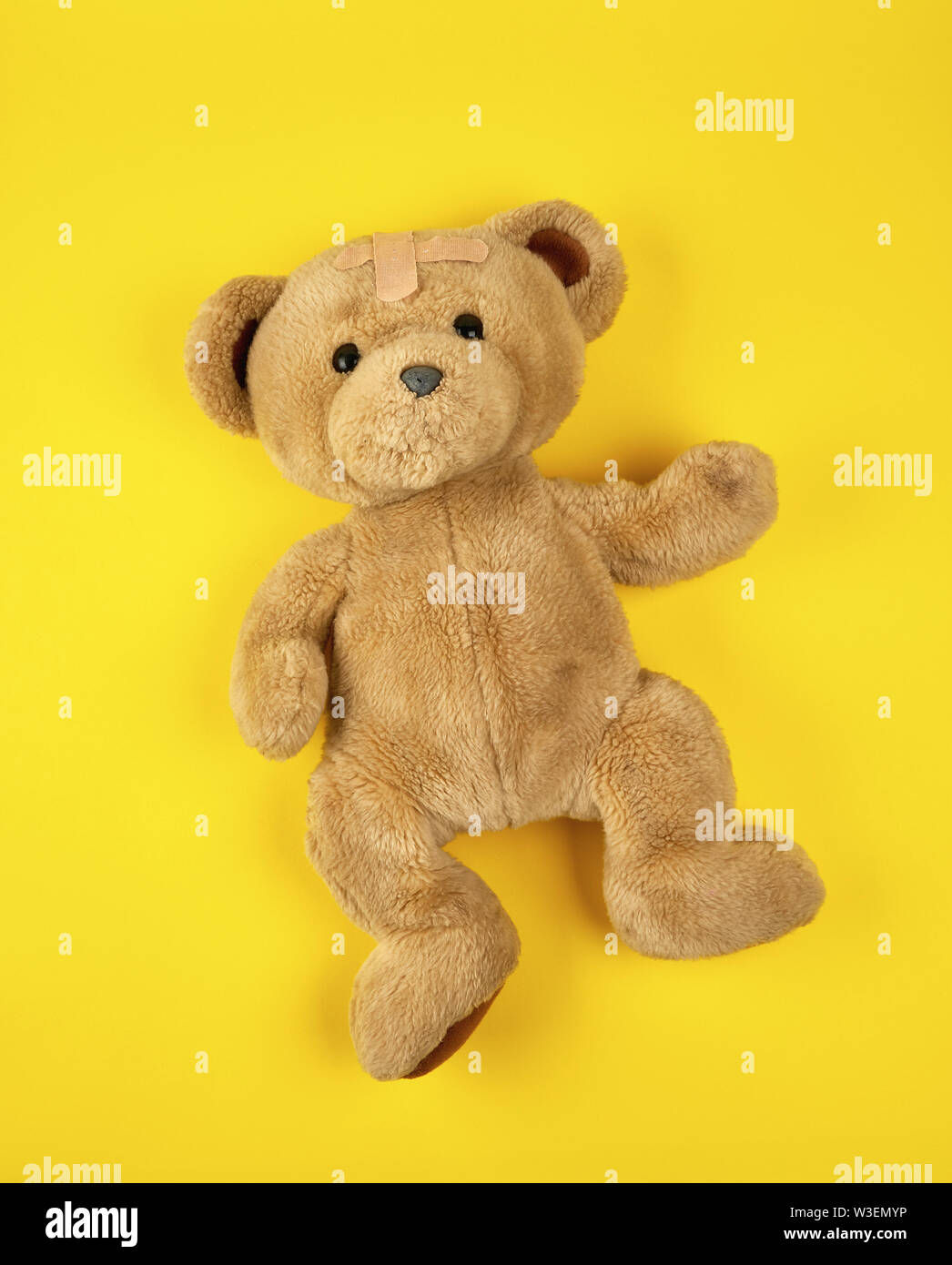 teddy bear top