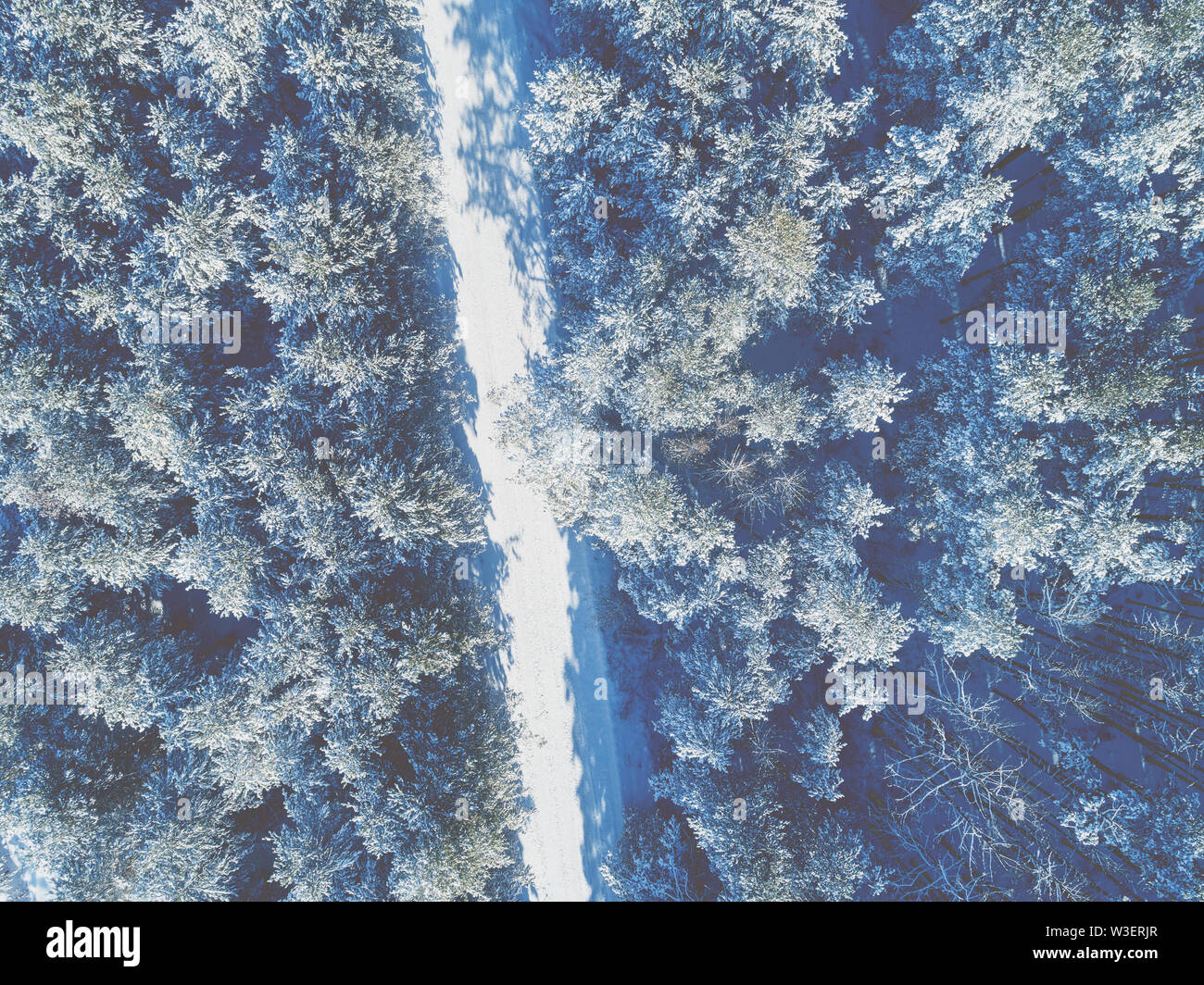 Aerial view of the road in the winter pine forest. Trees covered with ...