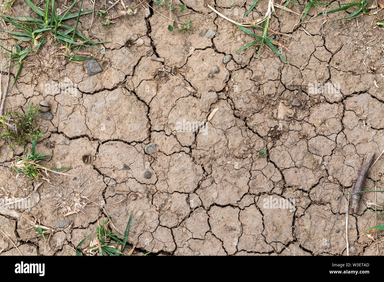 Cracked dry earth, overhead view. Environmental concerns and climate change concept. Stock Photo