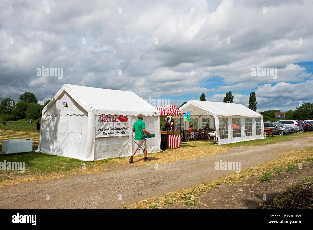 Pick your own fruit and vegetables at Scalby Grange Farm, Gilberdyke