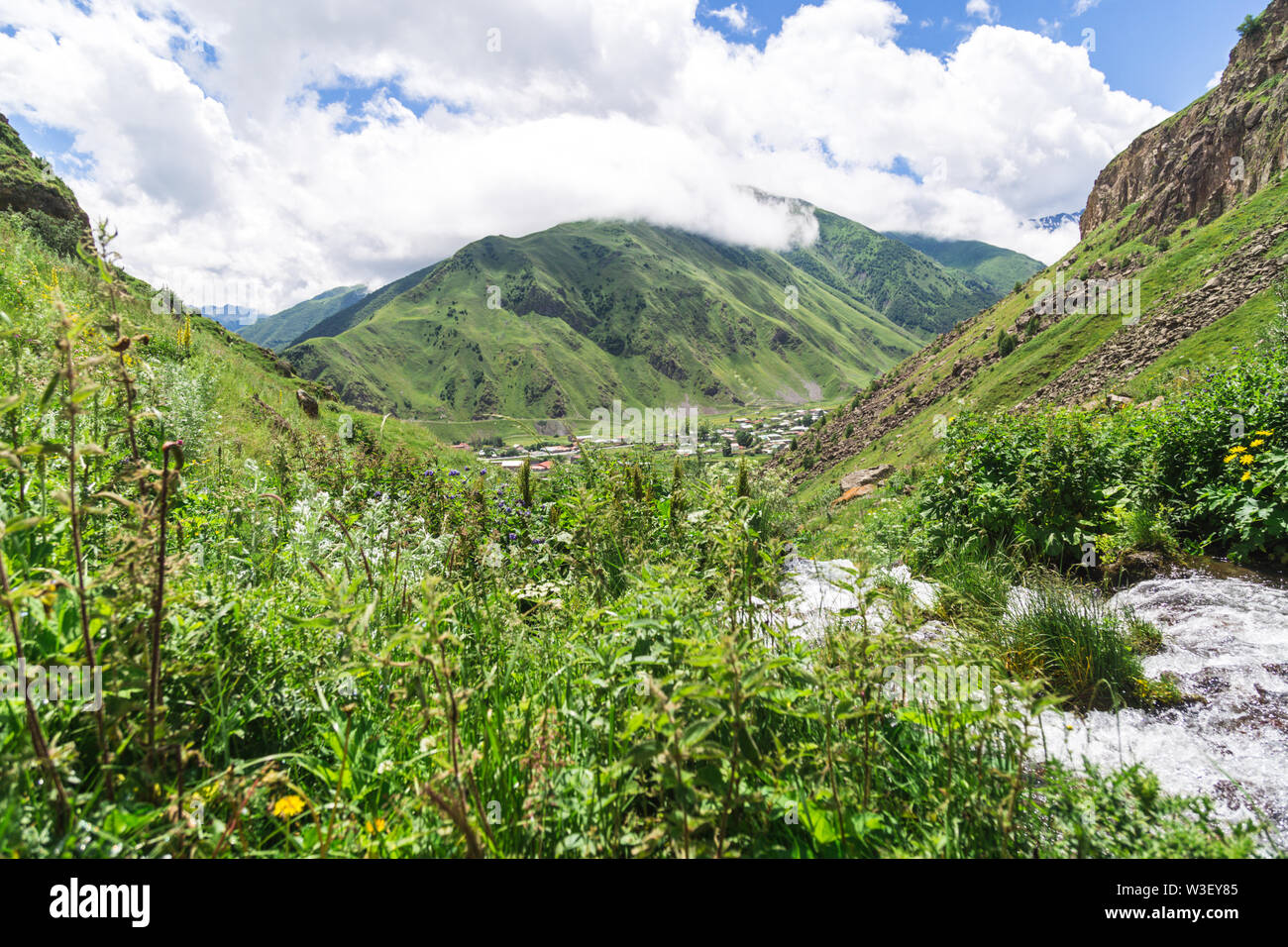 Amazing mountain landscape in Georgia on sunny summer day. Alpine green ...