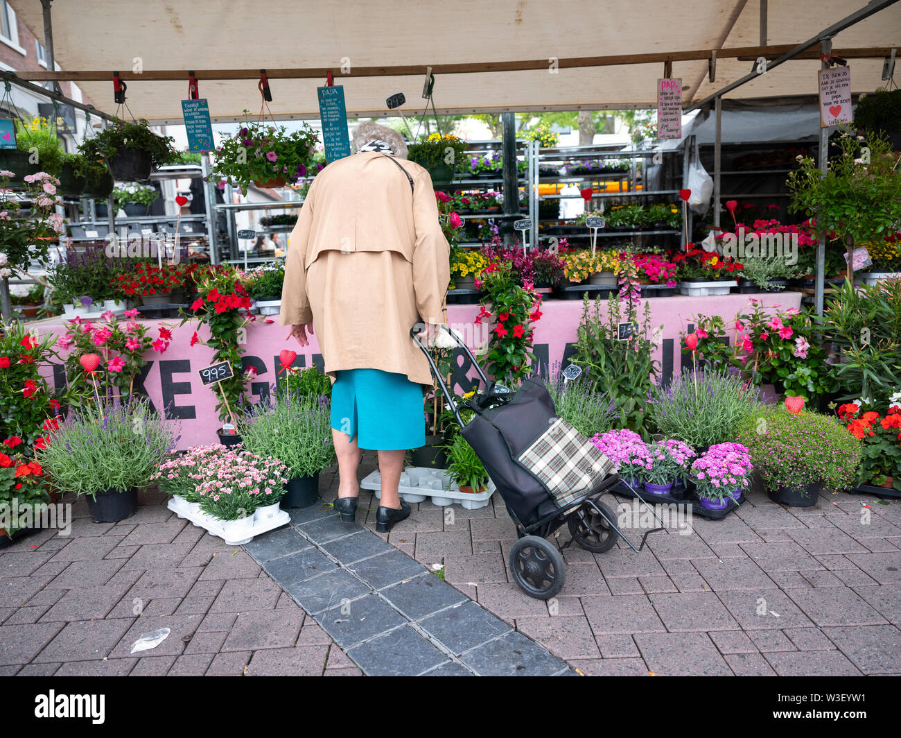 Old lady shopping trolley hi-res stock photography and images - Alamy