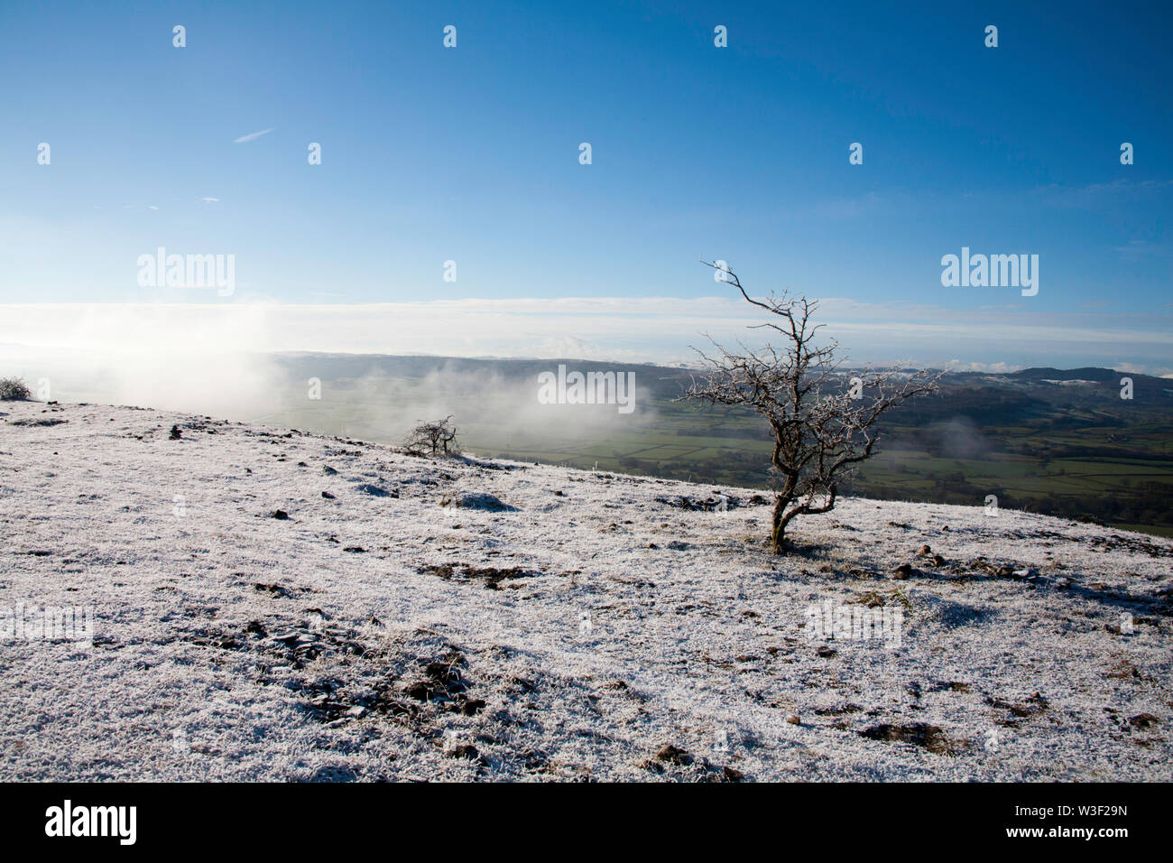 The frosty snow clad plateau of Scout Scar on a clear bright winter day
