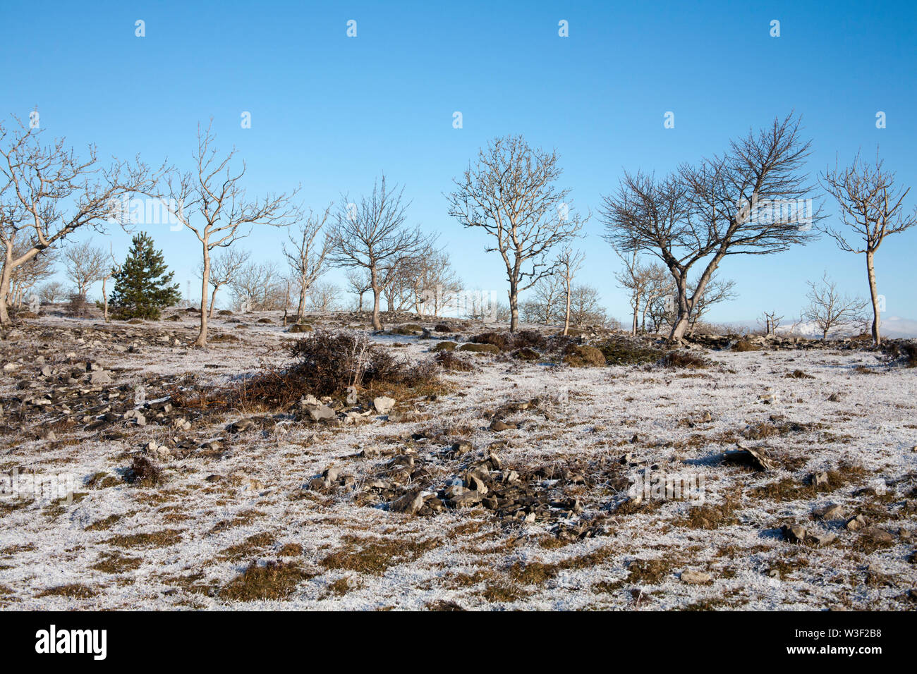 The frosty snow clad plateau of Scout Scar on a clear bright winter day