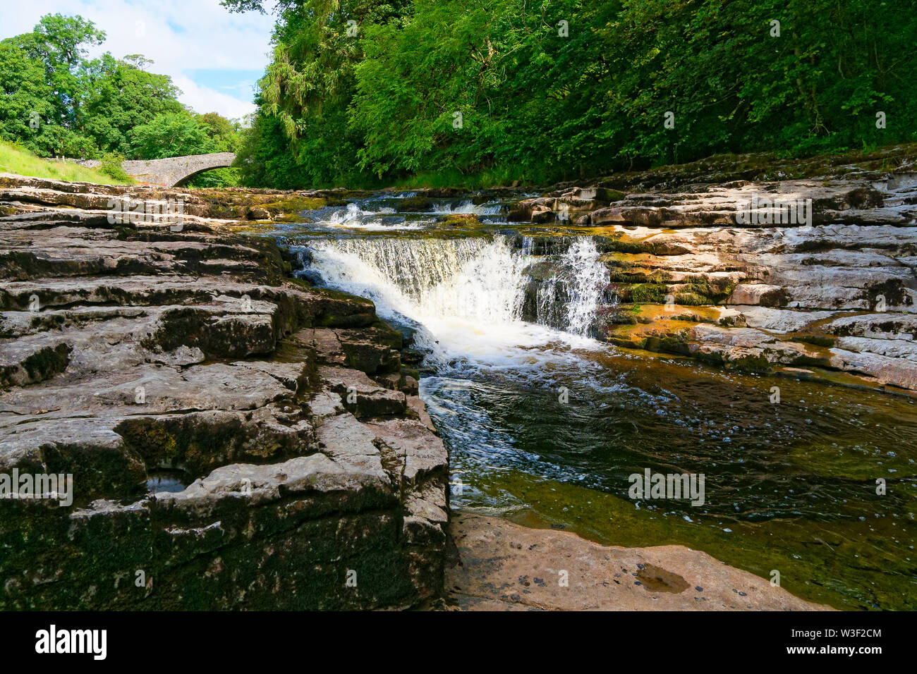 The River Ribble tumbles over waterfalls known as Stainforth Force