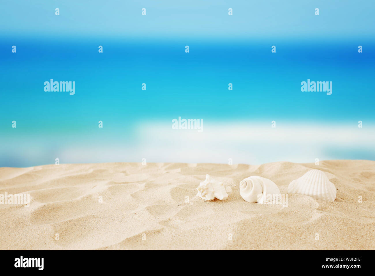 Empty sand beach and shells in front of summer sea background with copy ...