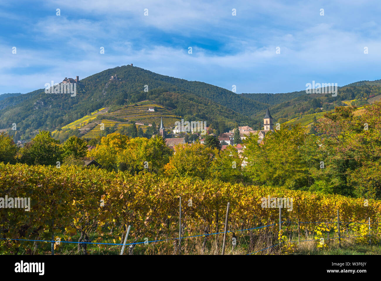 panorama of village Ribeauvillé with landscape, Alsace Wine Route, France, mountains with vineyards and castles in the background Stock Photo