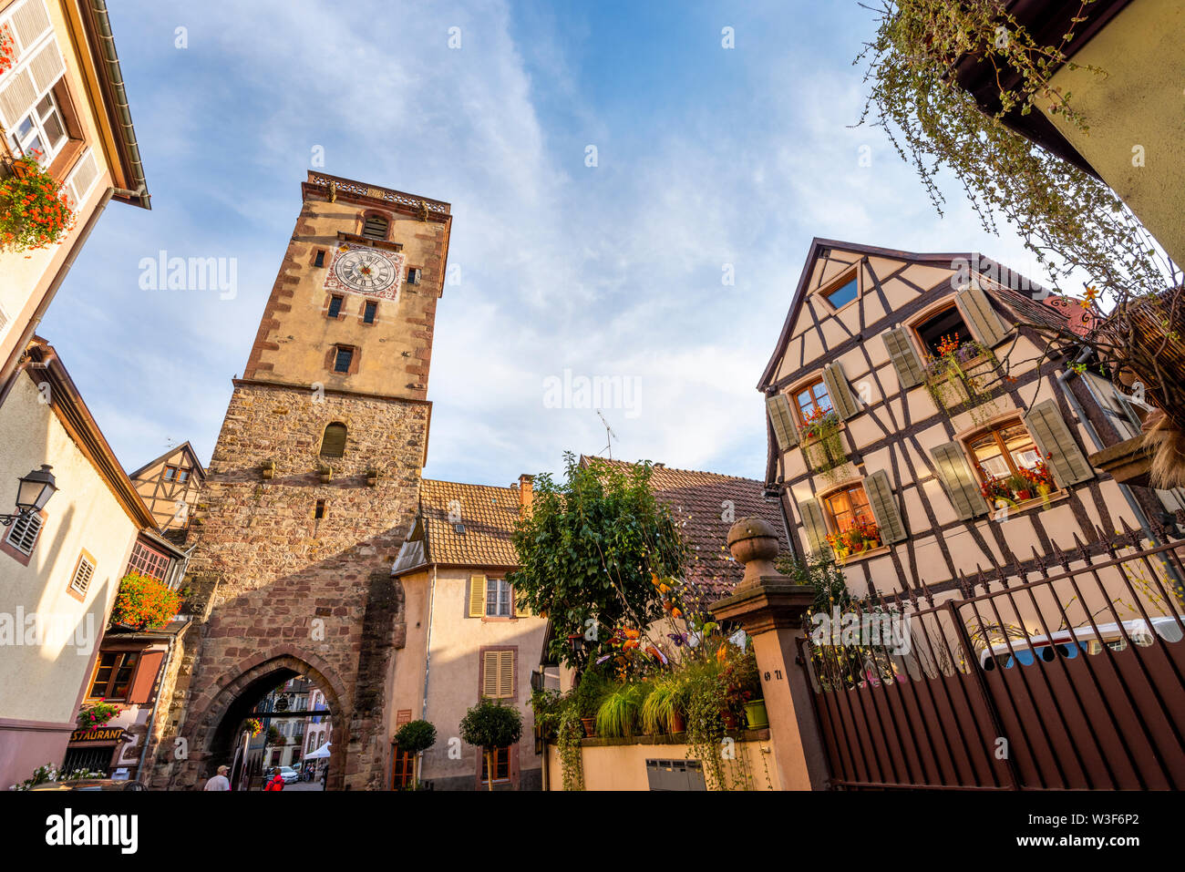 town gate of wine village Ribeauvillé, Alsace Wine Route, France, town tower in the scenic evening light of the late summer Stock Photo