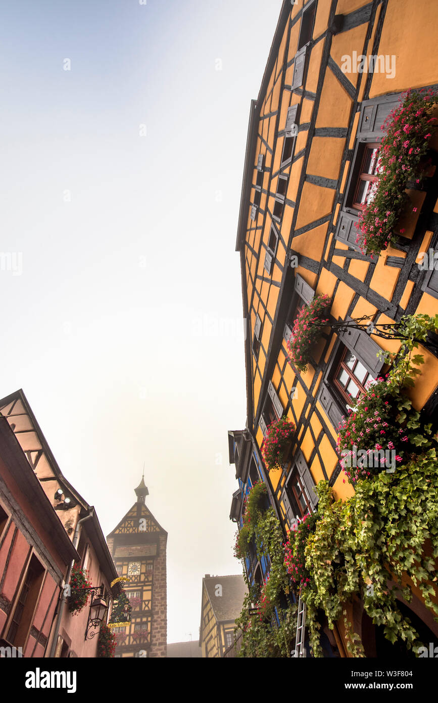 timber architecture in Riquewihr, Alsace Wine Route, France, medieval houses with typical flower and vine decoration Stock Photo
