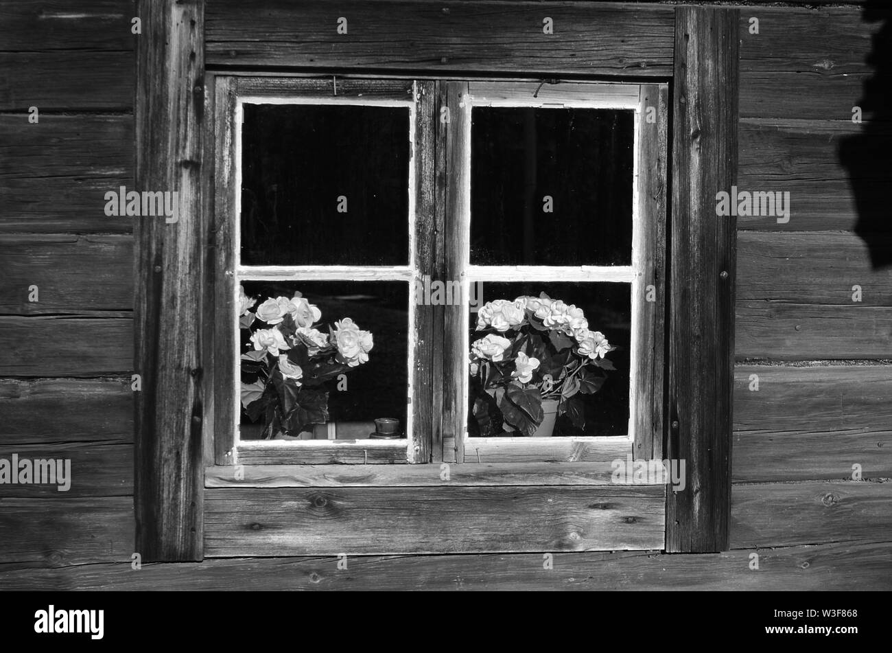 Black and white mirror view from the outside of a window of an old wooden cottage in rural Dalarna,Sweden. Stock Photo