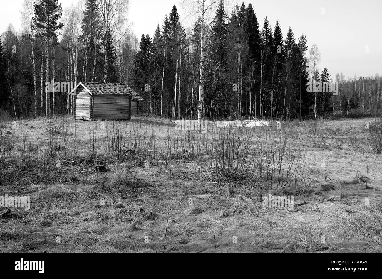 An old small farm house on a field near a forest in black and white. Stock Photo