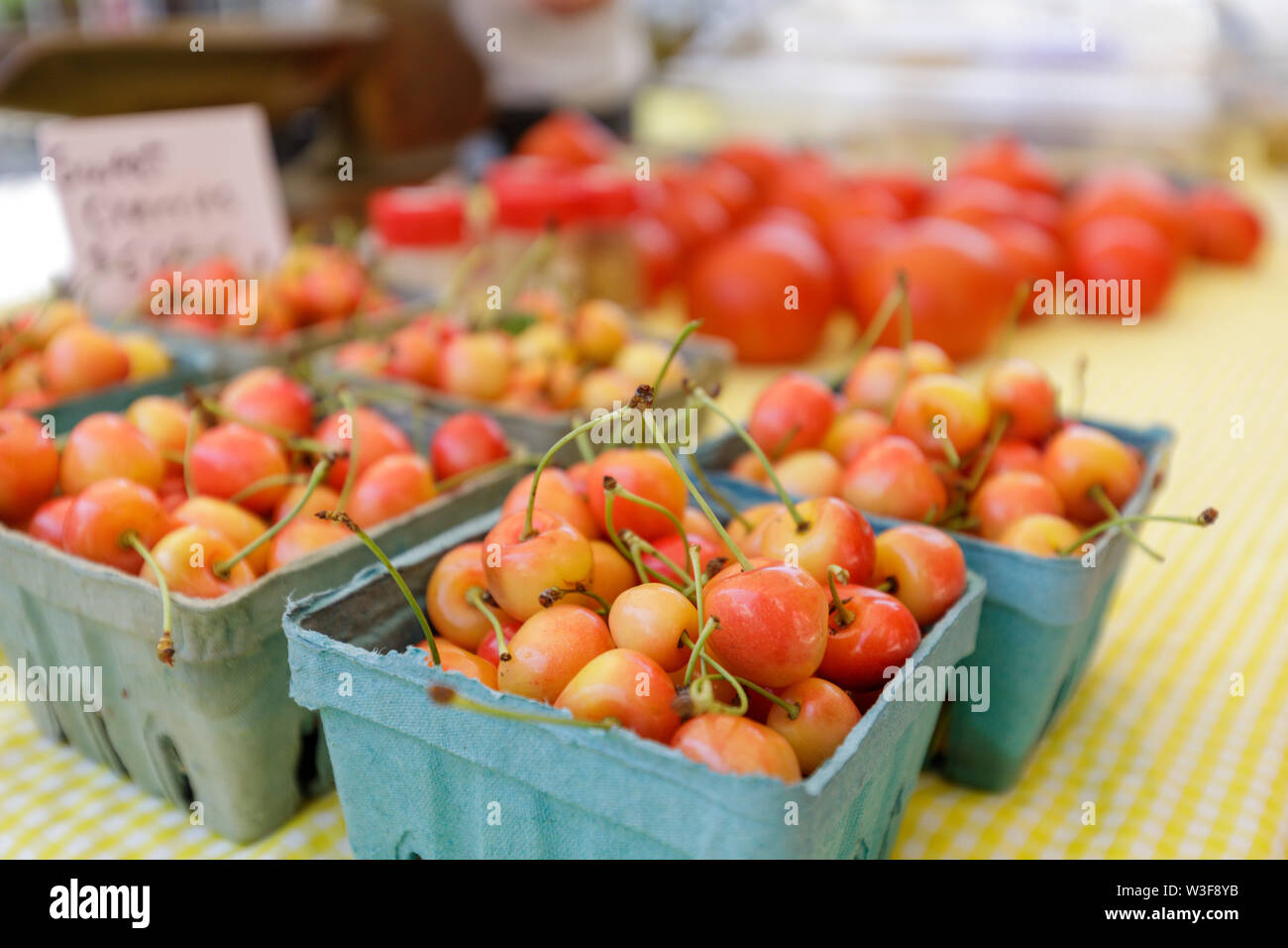 Local cherries for sale at the annual Little Falls Cheese Festival in Herkimer County, New York, USA Stock Photo