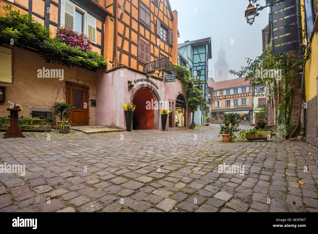 scenic lane of the tourist destination Riquewihr, village of the Alsace Wine Route, France, lane with vine and flower decoration in the autumn Stock Photo