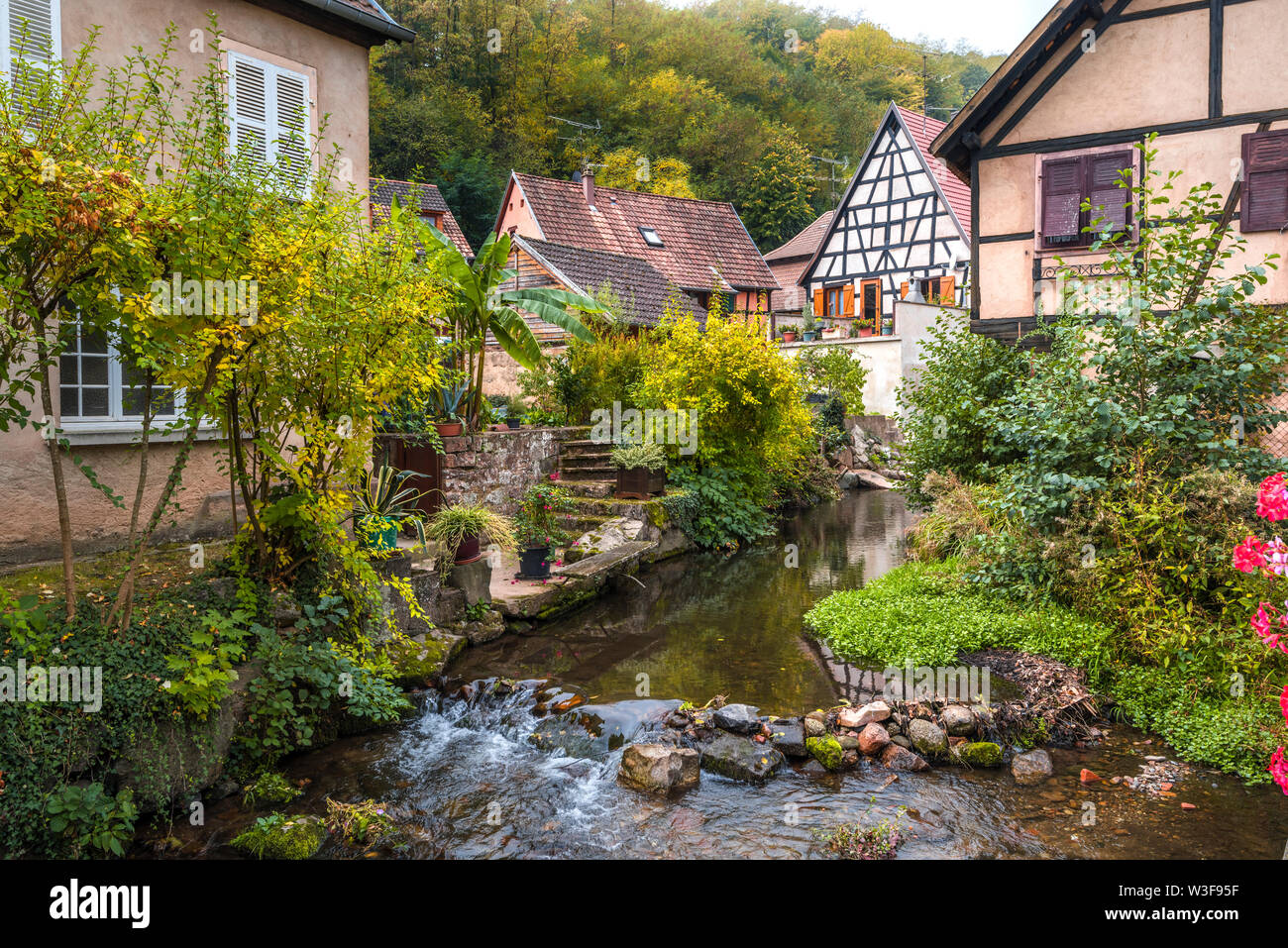 village Andlau, Alsace Wine Route, France, natural brook between timbered houses Stock Photo