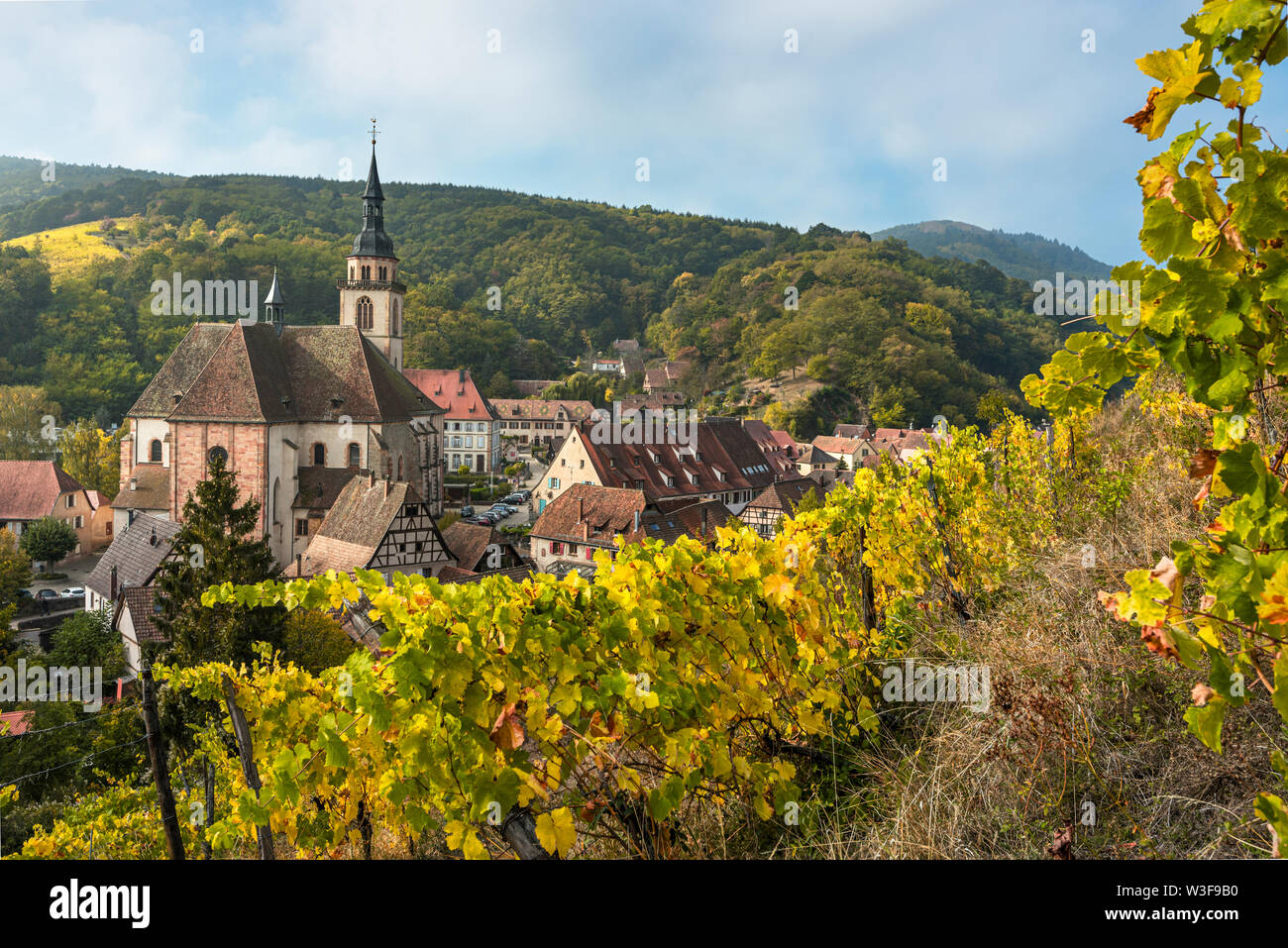 village Andlau and its vineyards seen from above, Alsace Wine Route, France, panorama with vines and foothills of the Vosges Stock Photo