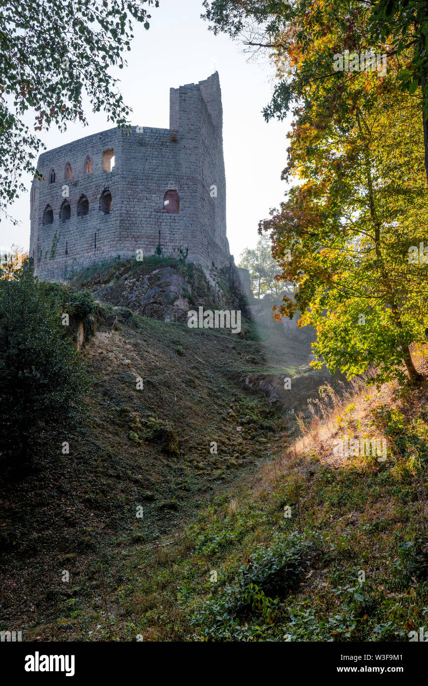 ruin of the village Andlau with autumn foliage, Alsace, France, castle Spesburg, Château de Spesbourg with gothic windows Stock Photo
