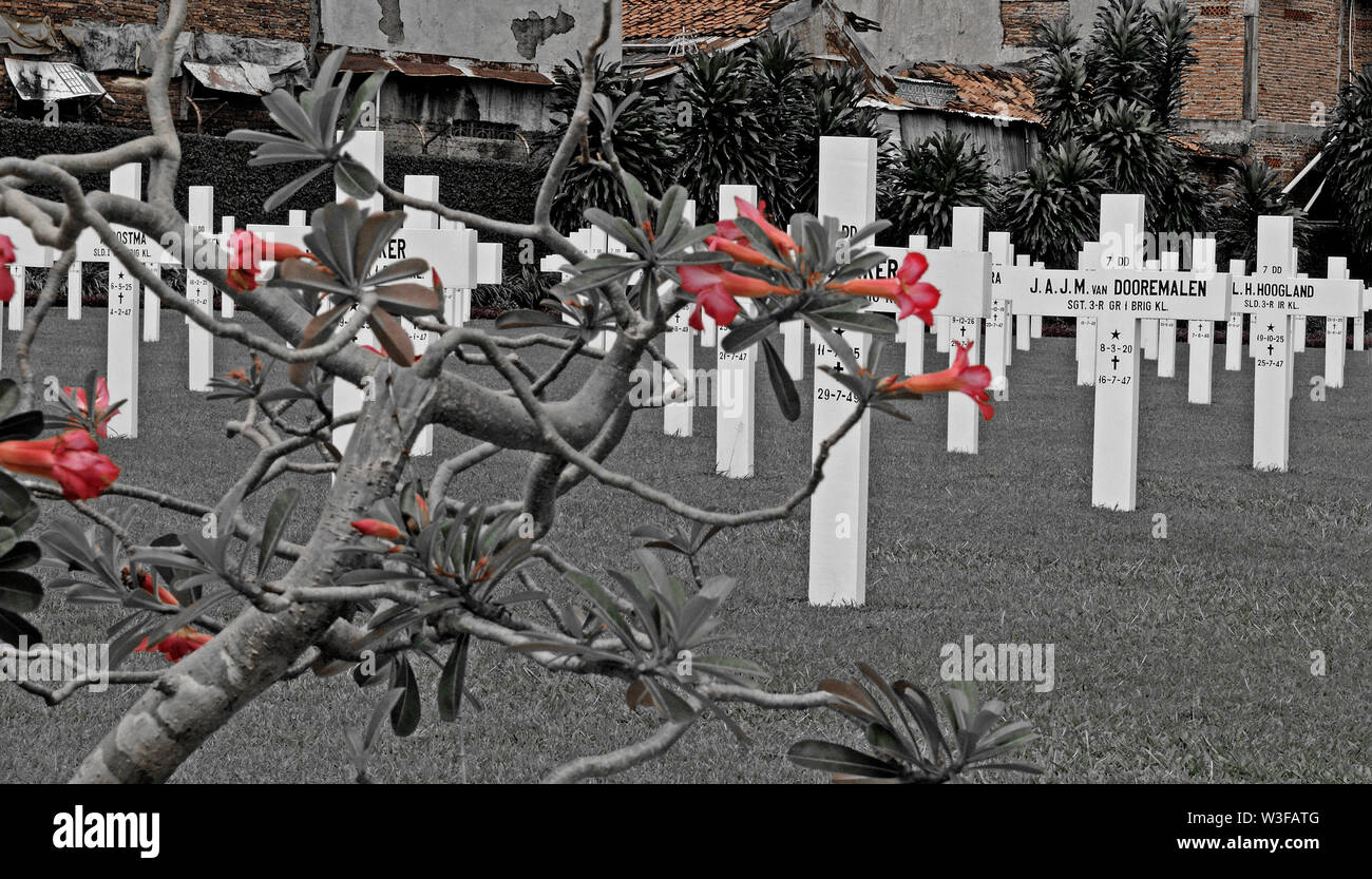 d100181z (6968) - jakarta - 2010-05-17 mo --- menteng - ereveld menteng pulo / taman makam kehormatan belanda - niederlaendischer soldatenfriedhof / k Stock Photo