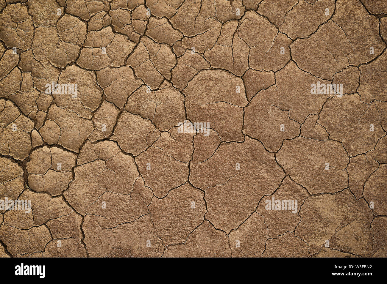 Dry cracked earth during in a rainy season because lack of rain shortage of water cracked soil texture Stock Photo