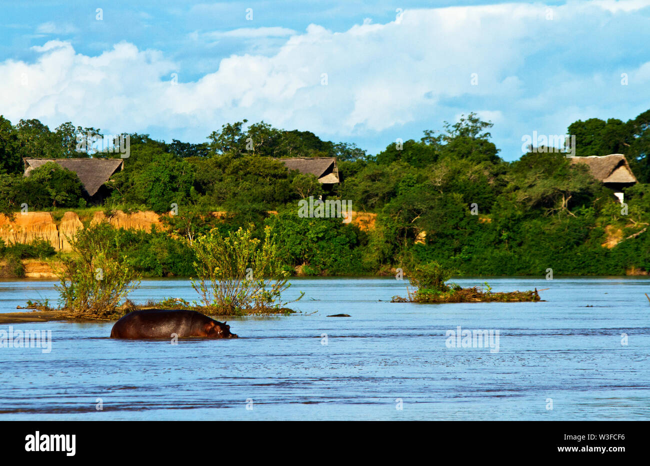 The Rufiji River Camp is situated on the banks overlooking the Rufiji River, the largest of East Africas perennial rivers and situated in the Selous Stock Photo