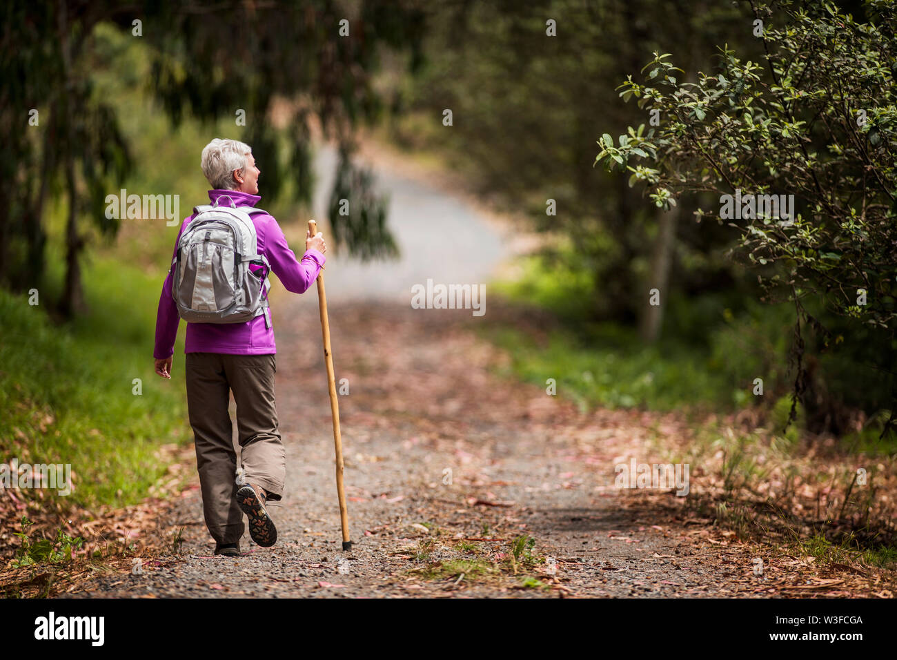 Mature woman goes for a hike along a leafy forest trail Stock Photo - Alamy