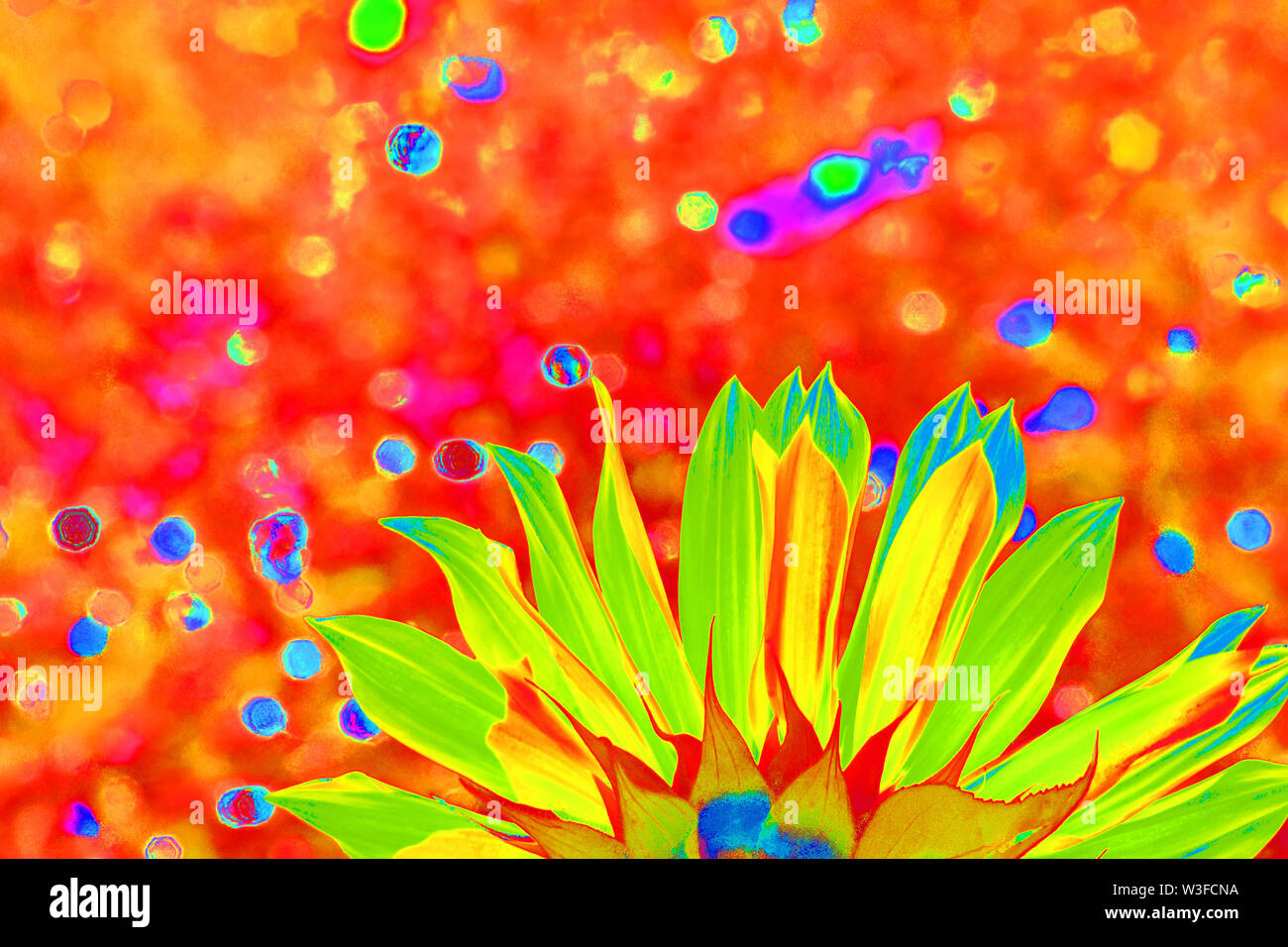 Psychedelic Sunflower, Flower Power Stock Photo Alamy