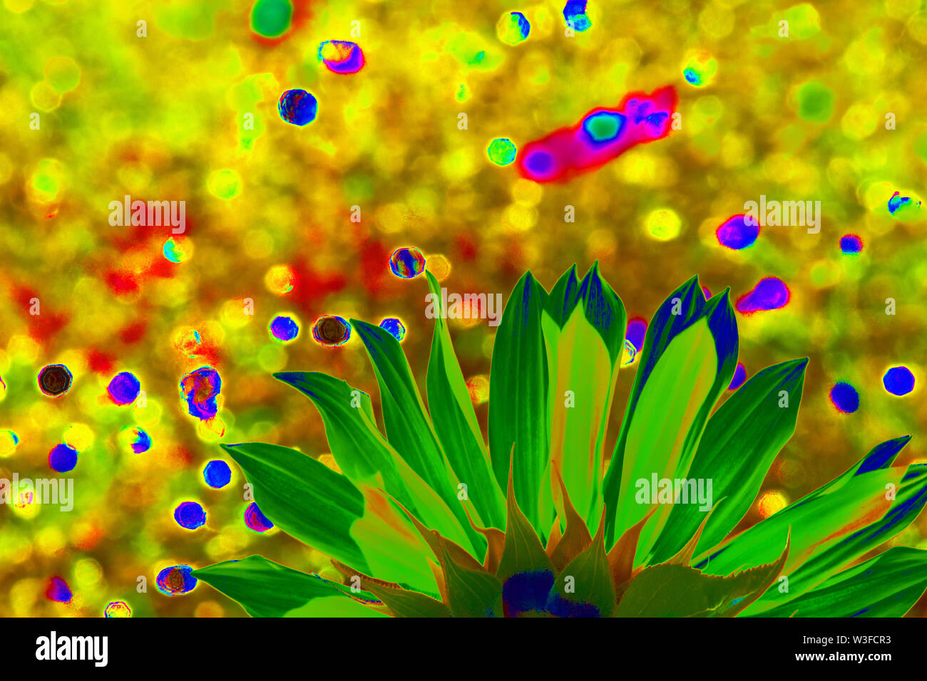 Psychedelic Sunflower, Flower Power Stock Photo Alamy