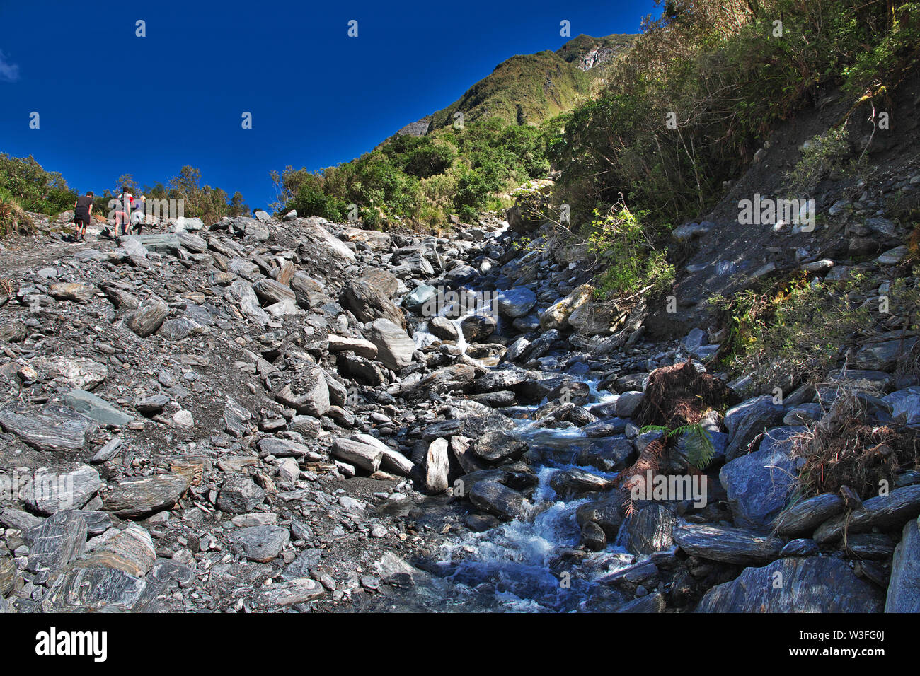 Fox Glacier on south island, New Zealand Stock Photo Alamy
