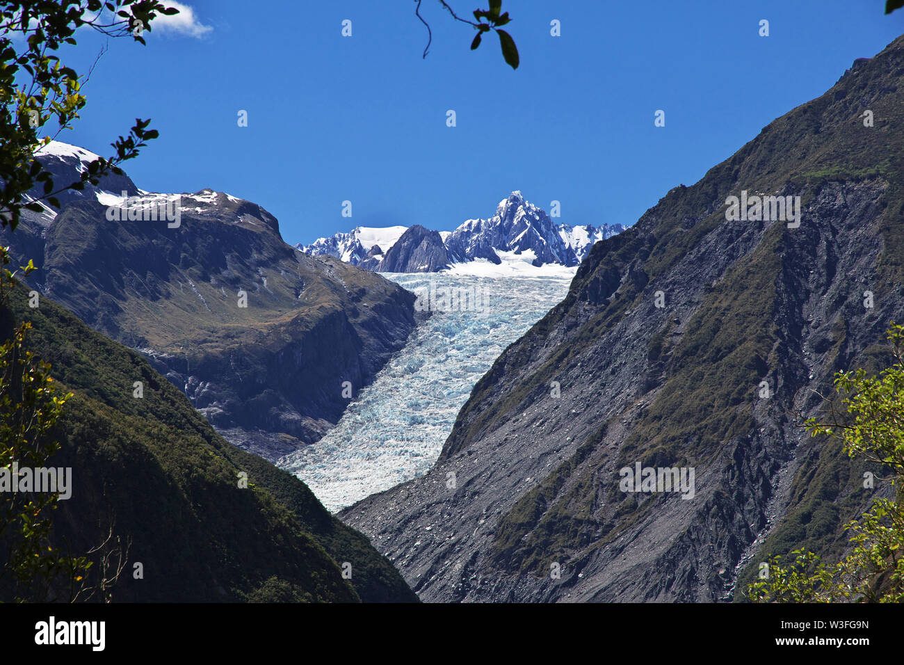 Fox Glacier on south island, New Zealand Stock Photo Alamy