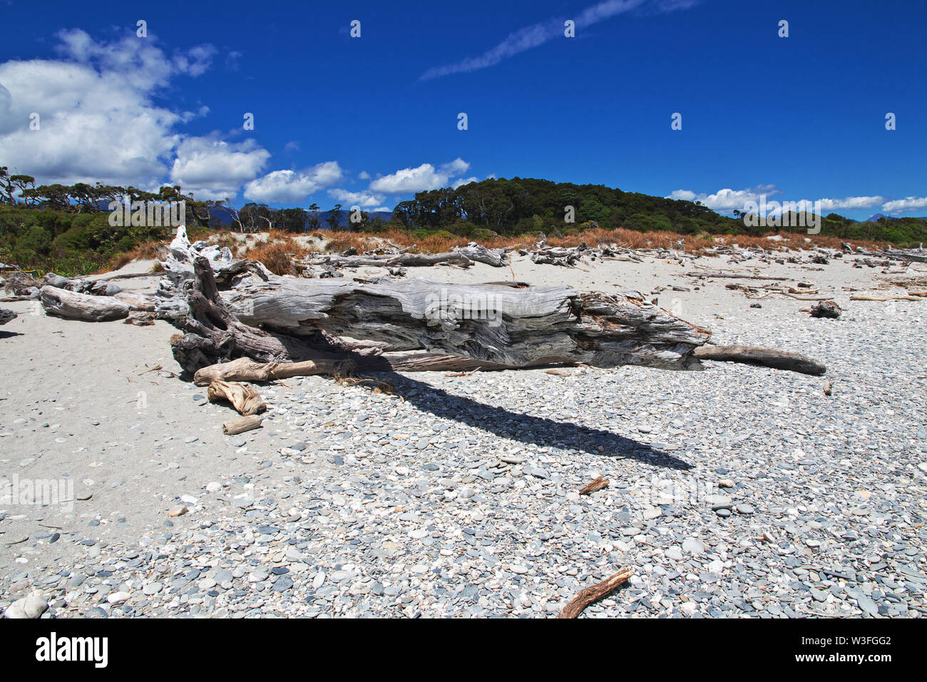 Tasman sea coast on the South island, New Zealand Stock Photo