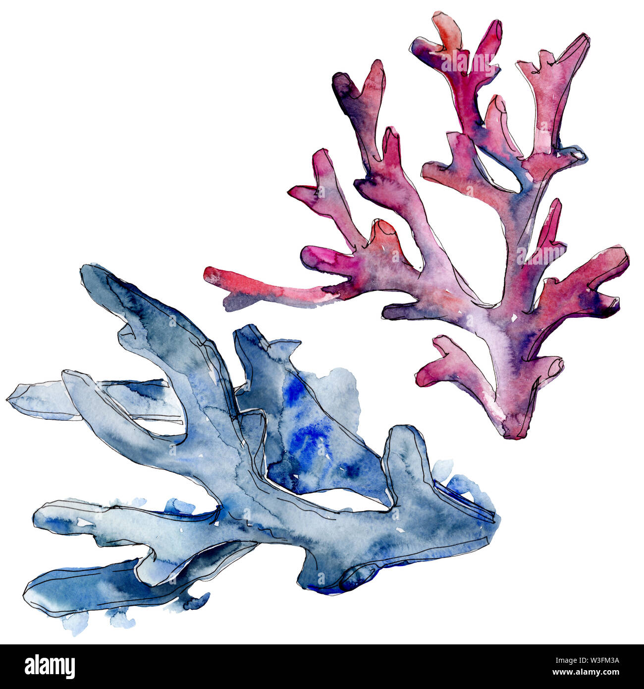 Colorful aquatic underwater nature coral reef. Watercolor background set.  Isolated corals illustration element Stock Photo - Alamy