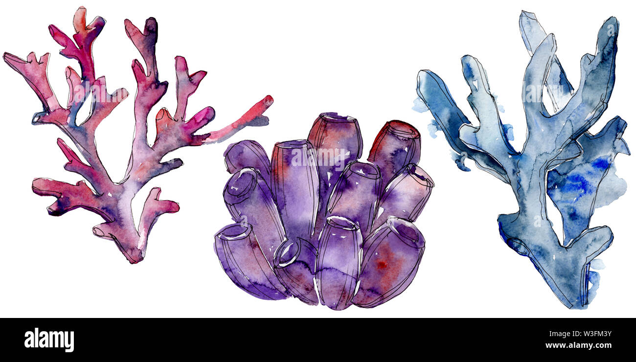 Colorful aquatic underwater nature coral reef. Watercolor background