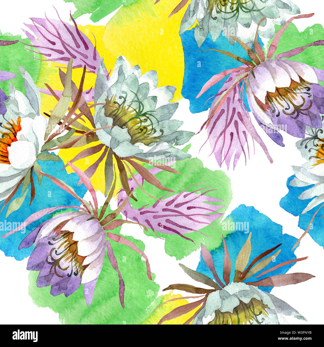 White epiphillum oxypetallim floral botanical flowers. Watercolor