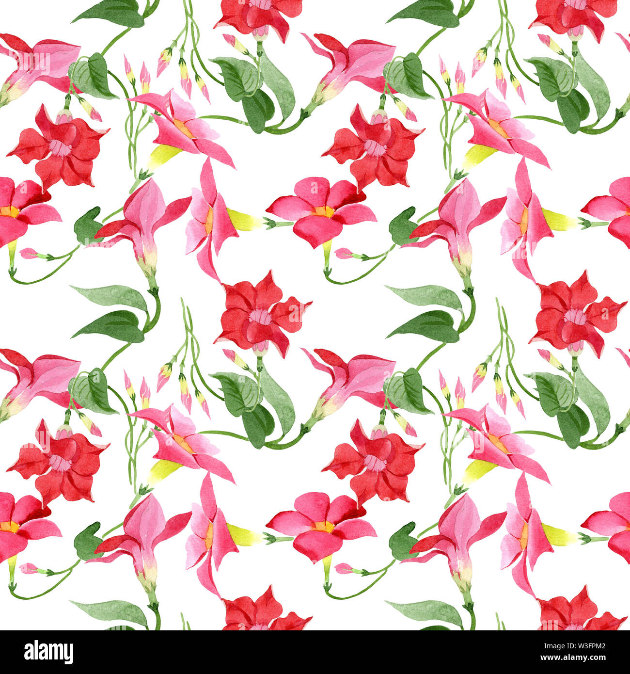 Red dipladenia floral botanical flowers. Watercolor background illustration set. Seamless background pattern. Stock Photo
