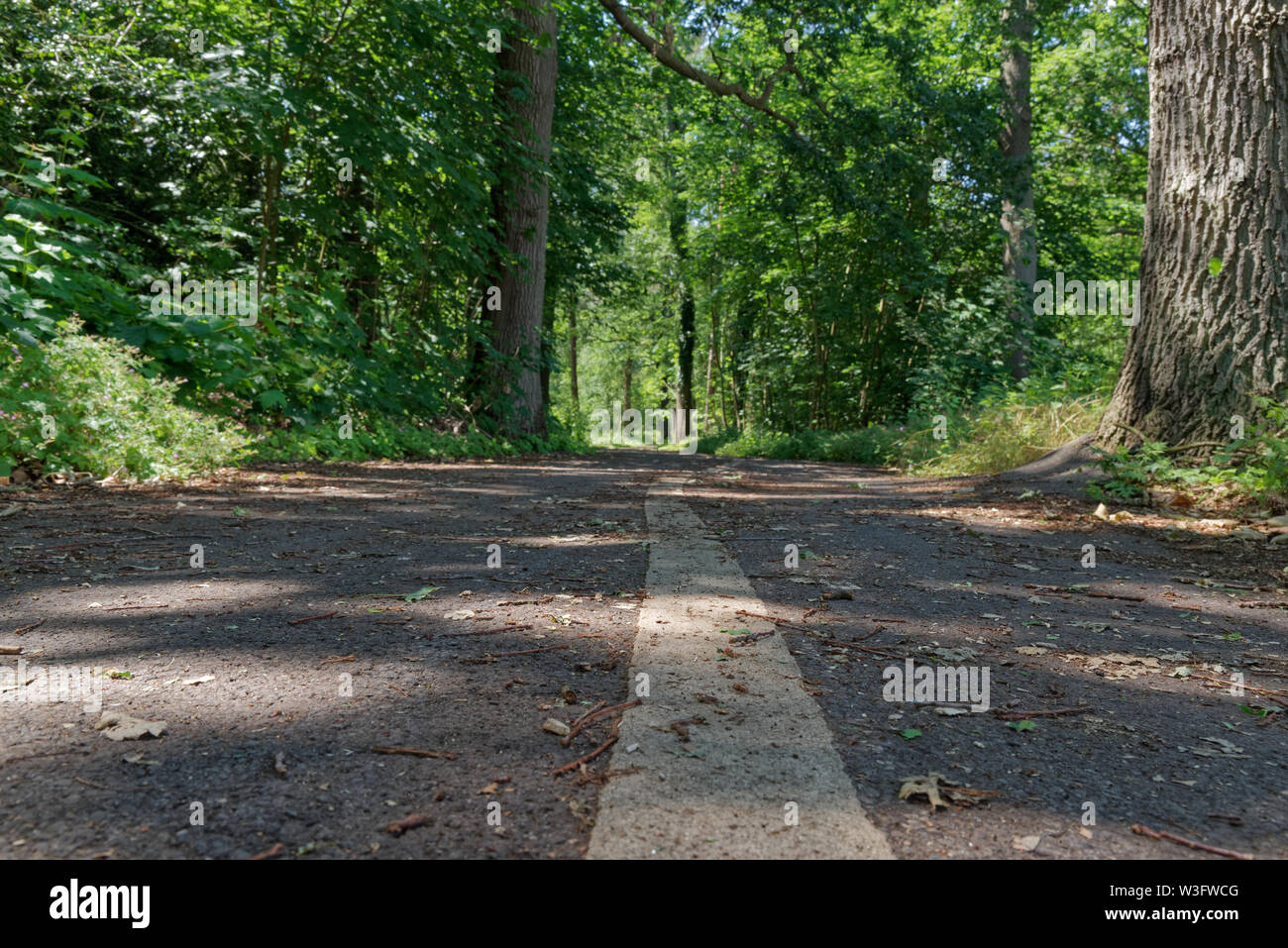 Close up of a line as a marking in the middle of a bicycle road in the nature. Muenster, Germany Stock Photo