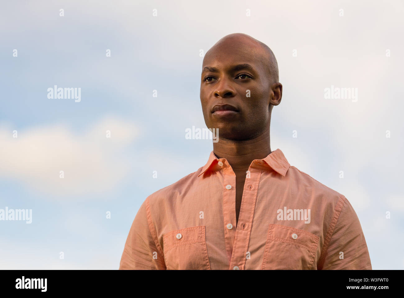 Portrait of a handsome black businessman glancing over the camera. Light blue cloudy sky in the background with copyspace Stock Photo