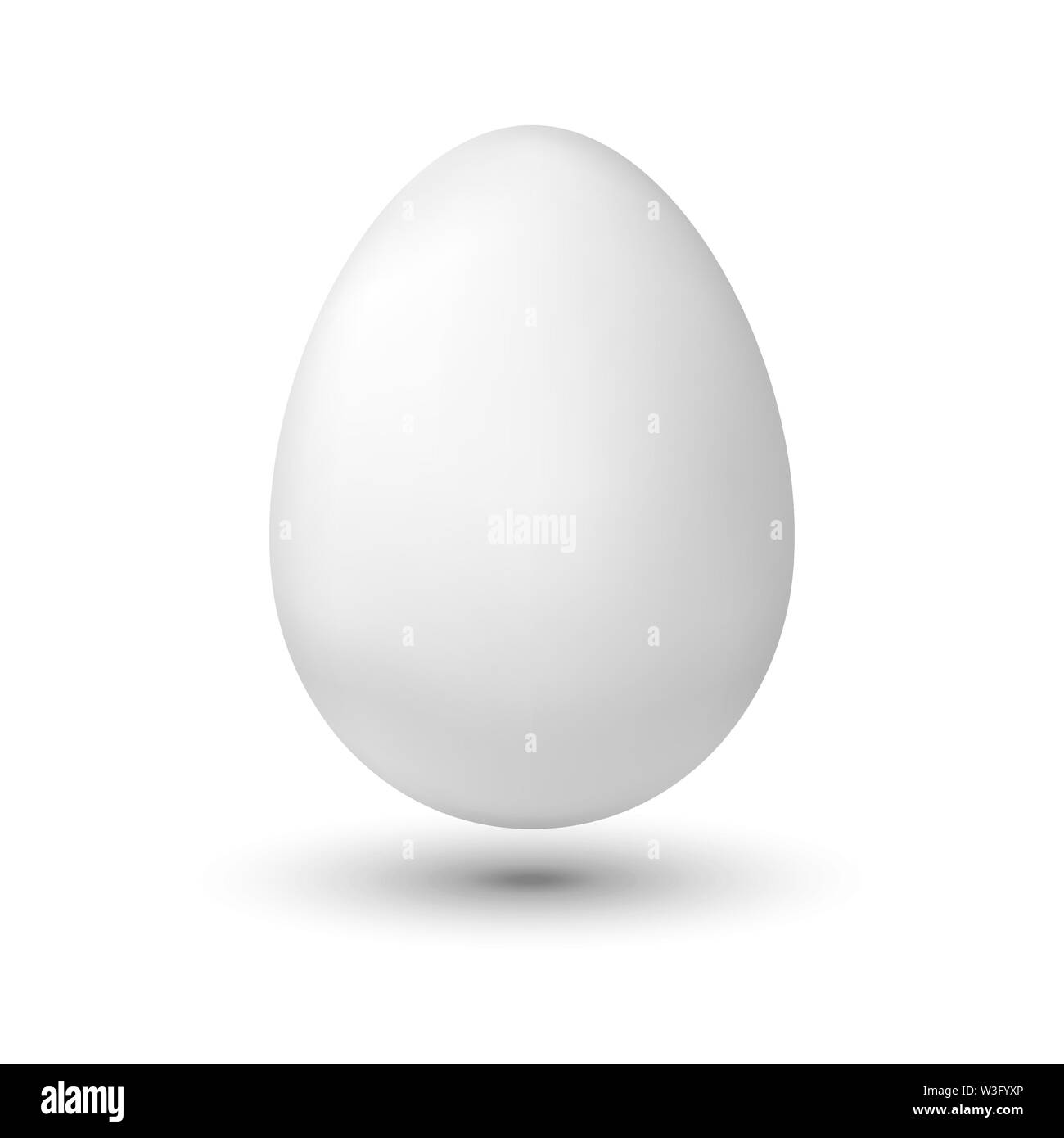 White chicken egg on white background Stock Vector Image & Art - Alamy
