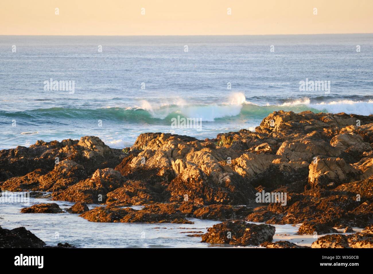 Crashing waves of Pacific Ocean at sunset with salty spray near rocky shoreline, at Asilomar State Park, Pacific Grove, California, USA Stock Photo