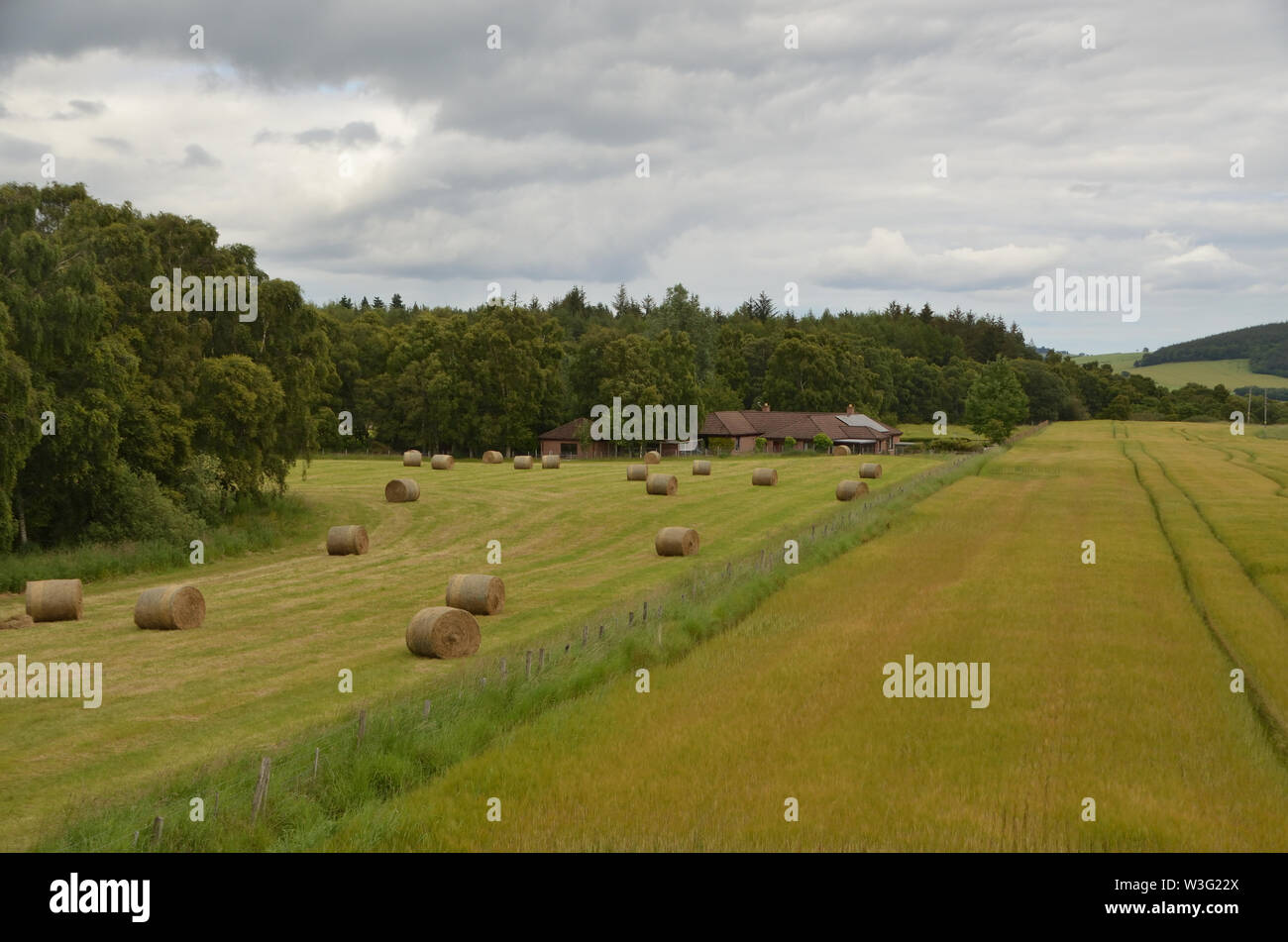 Countryside on the Black Isle near Munlochy, on the Black Isle, Scotland, UK Stock Photo