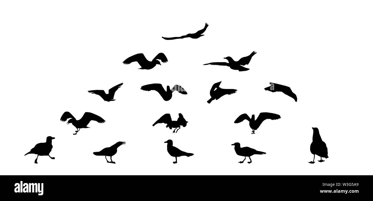 Set of different gull silhouettes. Flying, eating, going, taking off. Stock Vector