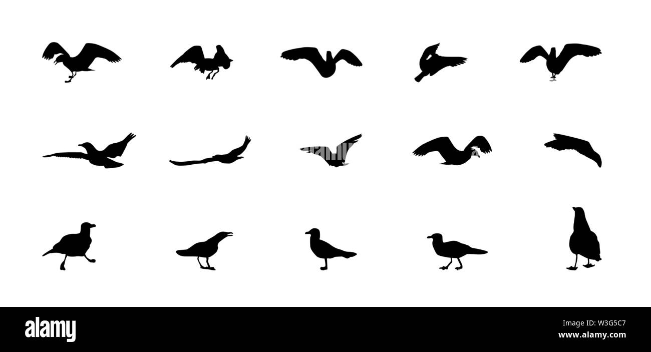 Set of different gull silhouettes. Flying, eating, going, taking off. Stock Vector