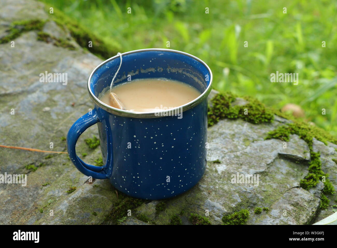 Tea Latte Chai London Fog in a blue mug on a rock, Outdoors, Camping, Picnic, enamel Stock Photo