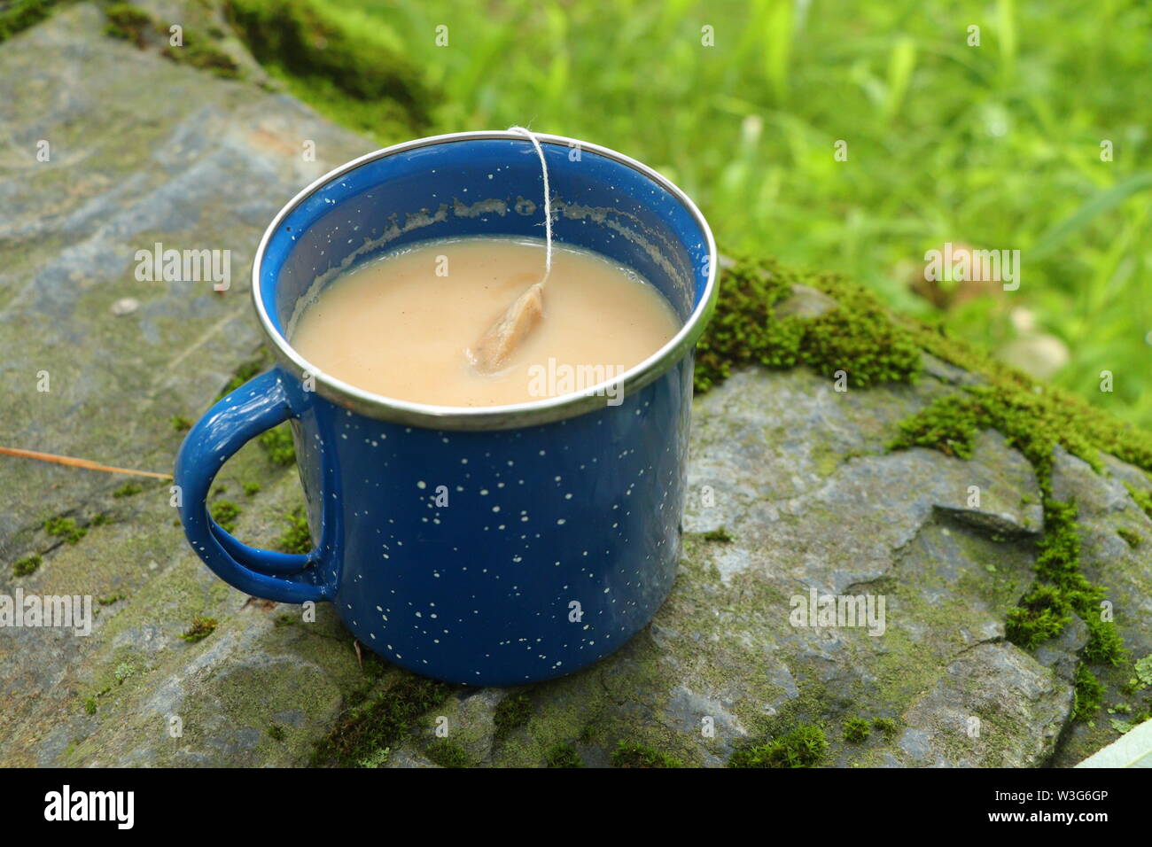 Tea Latte Chai London Fog in a blue enamel Mug on a rock, Outdoors, Camping, Picnic Stock Photo