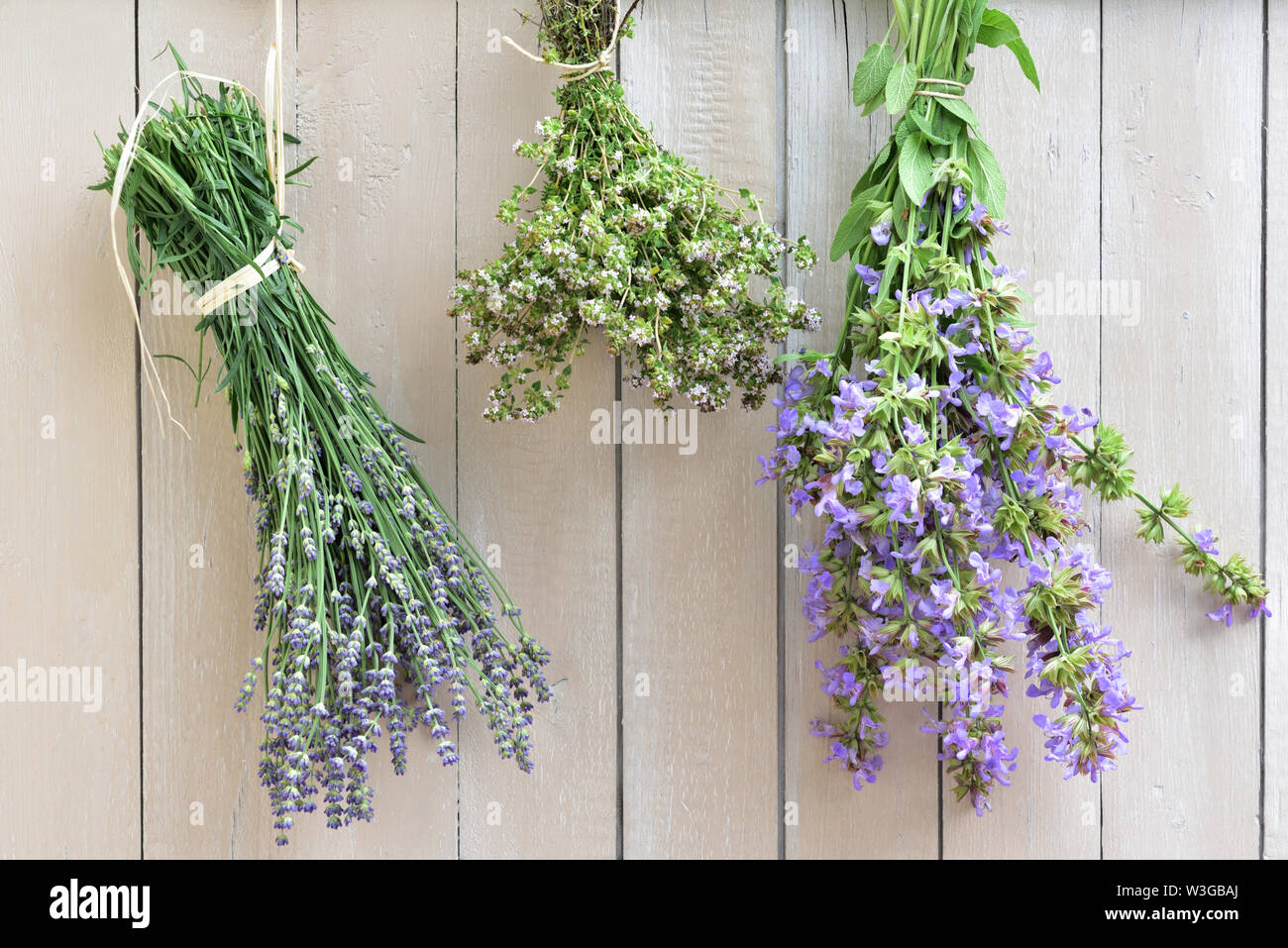 fresh, bouquet, lavender, smell, summer, dry, outdoor, romantic, love, season, background, text field, germany, europe, wild, wild plant, plant, herb, Stock Photo