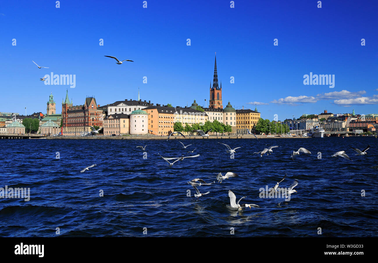Scenic panorama of the Old Town Gamla Stan in Stockholm with lake and seagulls on the foreground, Sweden Stock Photo