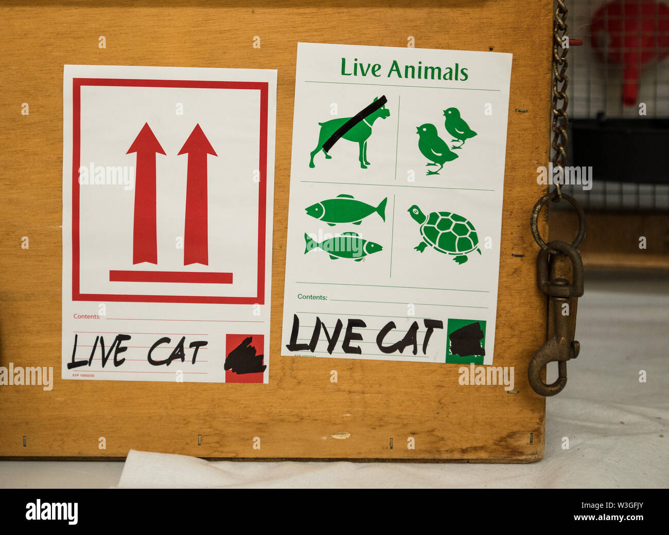 Live animal cargo hi-res stock photography and images - Alamy Live animal cargo hi-res stock photography and images - Alamy