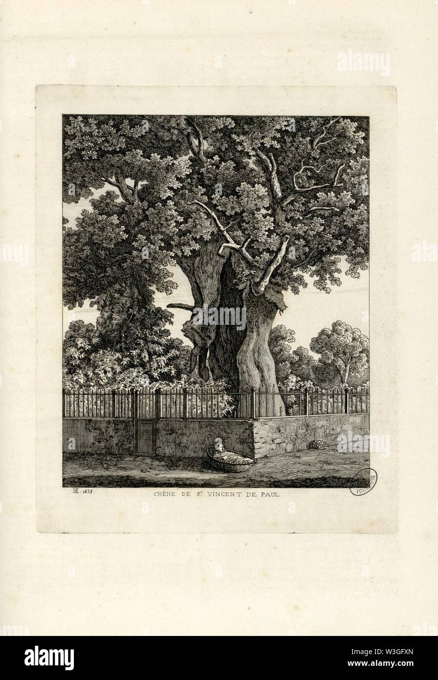 Chêne de St.Vincent de Paul - Fonds Ancely - B315556101 A PELERIN 118. Stock Photo