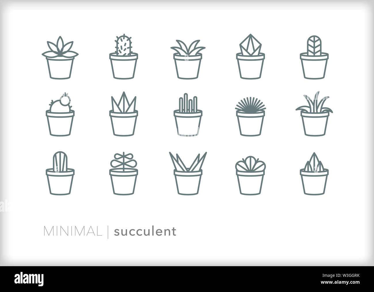 Set of 15 succulent houseplant line icons Stock Vector